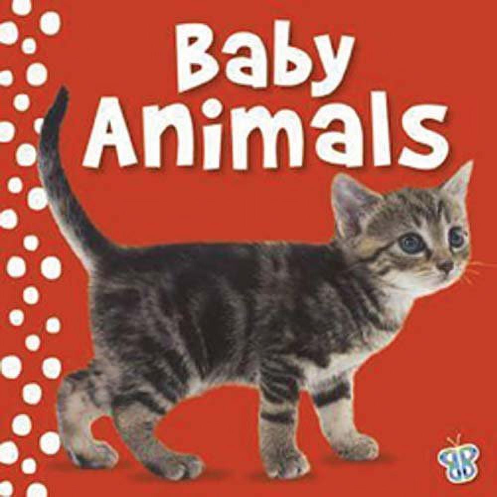 PreOwned Touch and Feel Baby Animals Busy Baby , Board Book