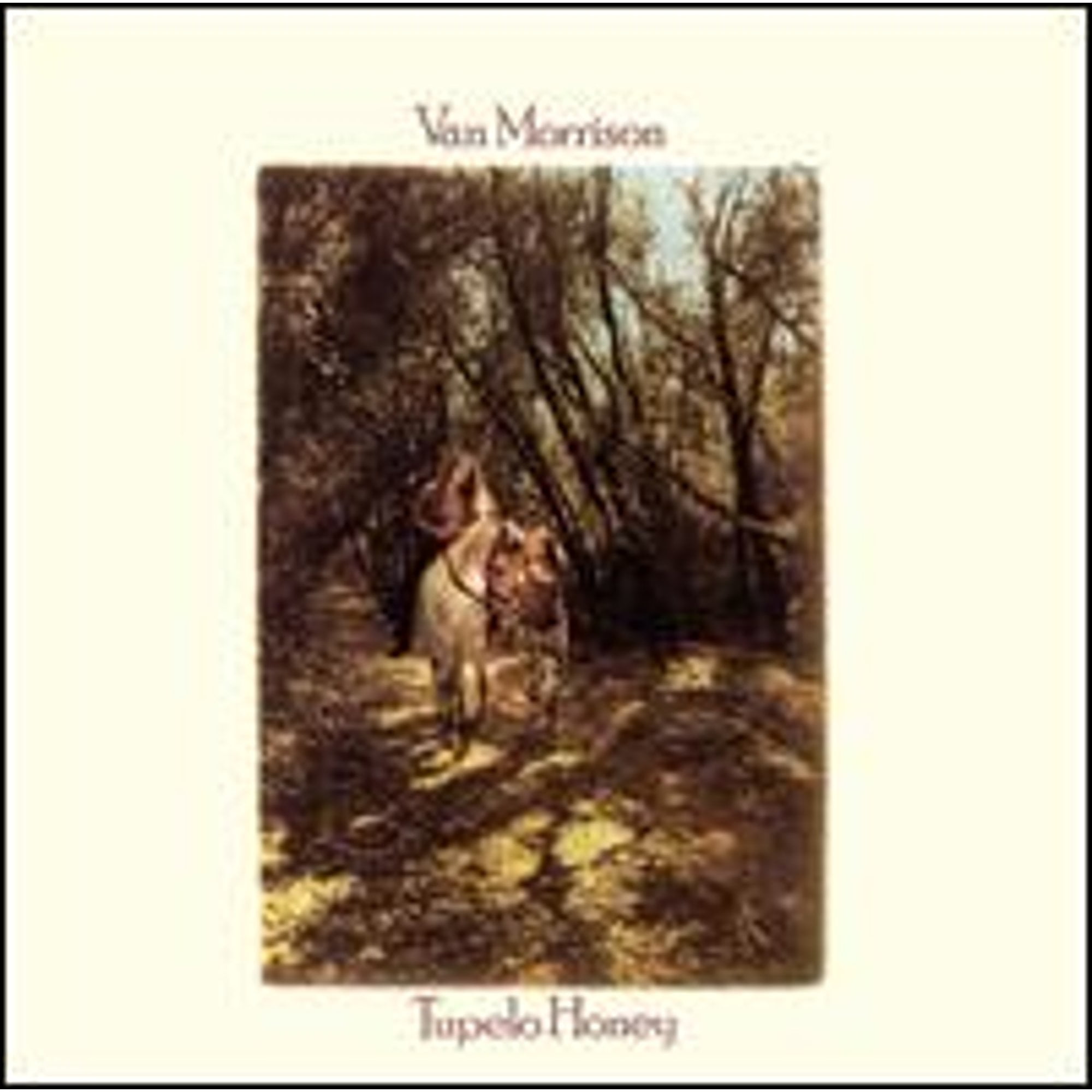 Pre-Owned Tupelo Honey (CD 0731453745025) by Van Morrison