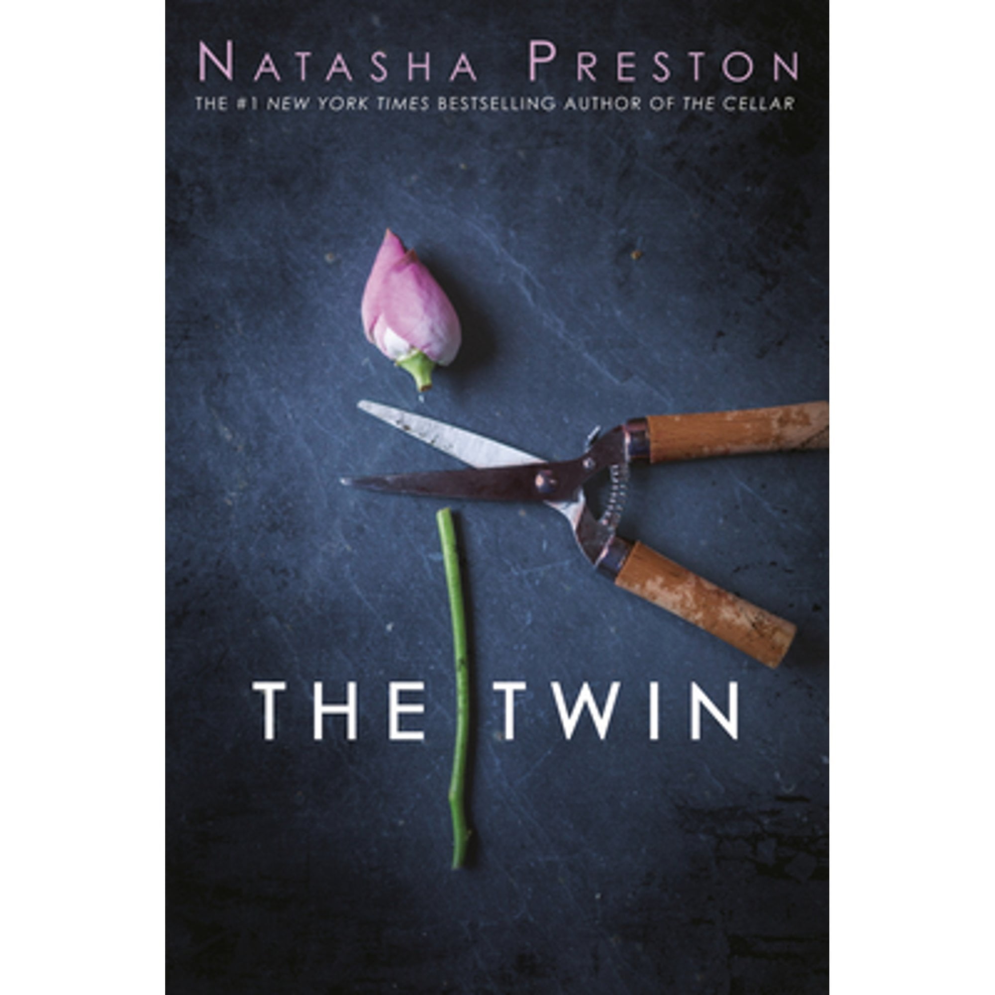 Pre-Owned Twin Paperback
