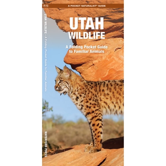 Pre-Owned Utah Wildlife: An Introduction to Familiar Species (Paperback) by James Kavanagh