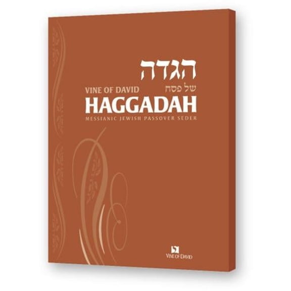 Pre-Owned Vine of David Haggadah (Paperback) 9781892124449