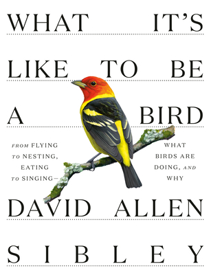 Pre-Owned What It's Like to be a Bird (Hardcover 9780307957894) by David Allen Sibley