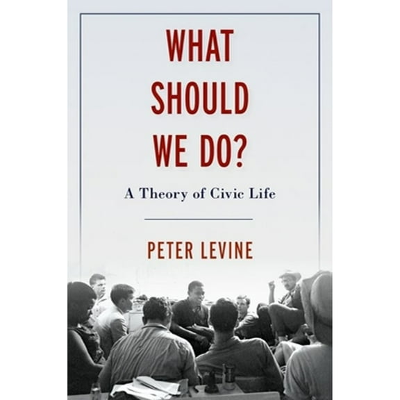 Pre-Owned What Should We Do?: A Theory of Civic Life (Hardcover) by Peter Levine