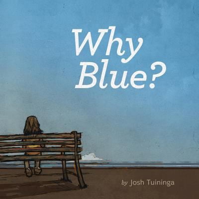 Pre-Owned Why Blue? (Paperback) 1623956315 9781623956318
