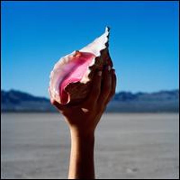 Pre-Owned Wonderful Wonderful (CD 0602557771701) by The Killers