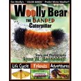 thumbnail image 1 of Pre-Owned Woolly Bear the Banded Caterpillar: Life Cycle, Friends and Adventures Paperback, 1 of 1