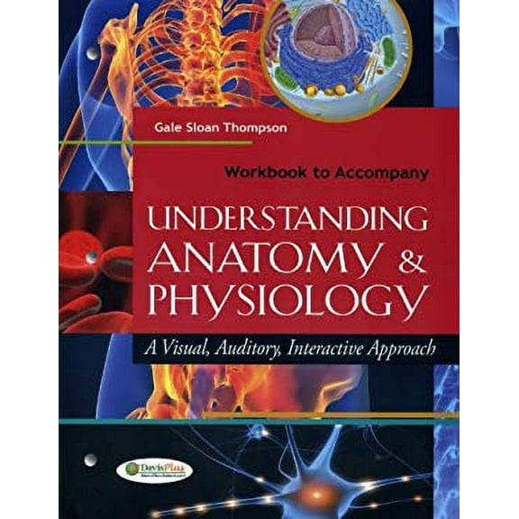 Pre-Owned Workbook to Accompany Understanding Anatomy and Physiology: A Visual, Auditory, Interactive Approach (Paperback) 0803622880 9780803622883