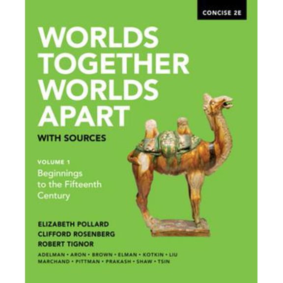 Pre-Owned Worlds Together, Worlds Apart with Sources (Paperback) 0393668541 9780393668544
