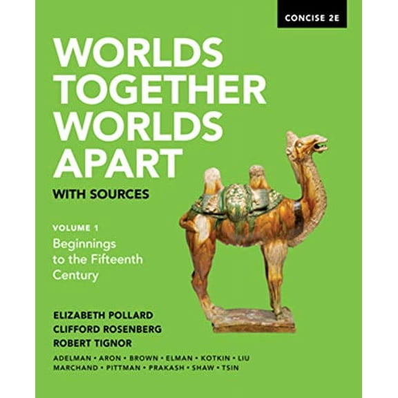 Pre-Owned Worlds Together, Worlds Apart with Sources (Paperback) 0393668541 9780393668544