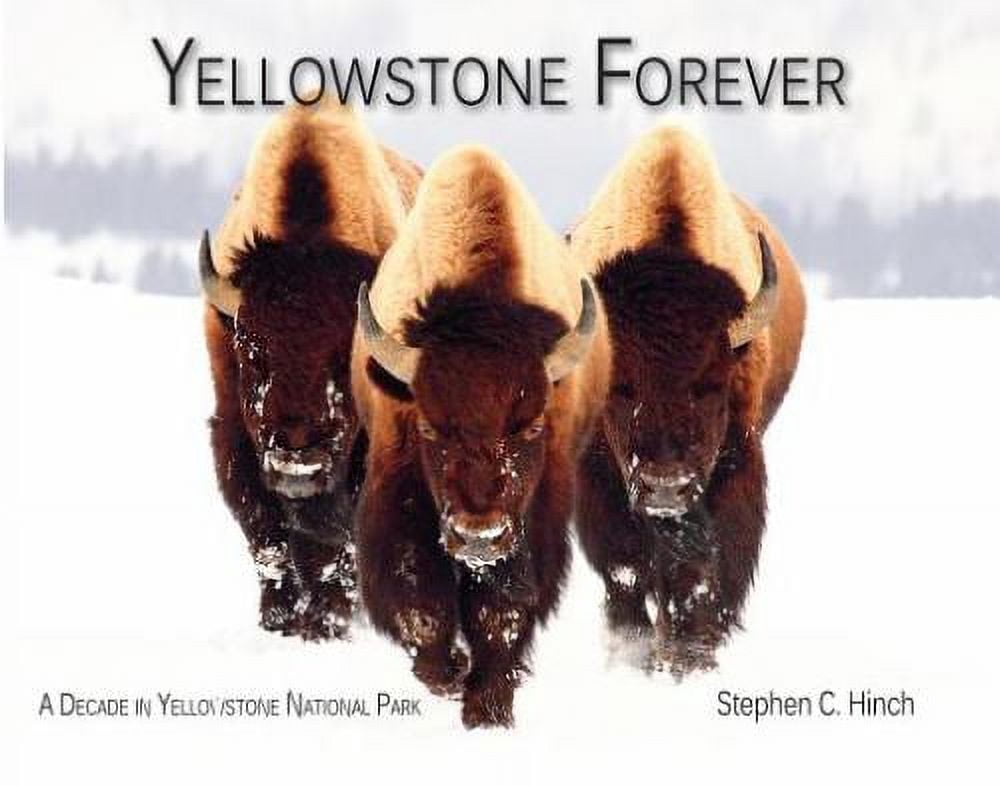 Pre-Owned Yellowstone Forever: A Decade in Yellowstone National Park