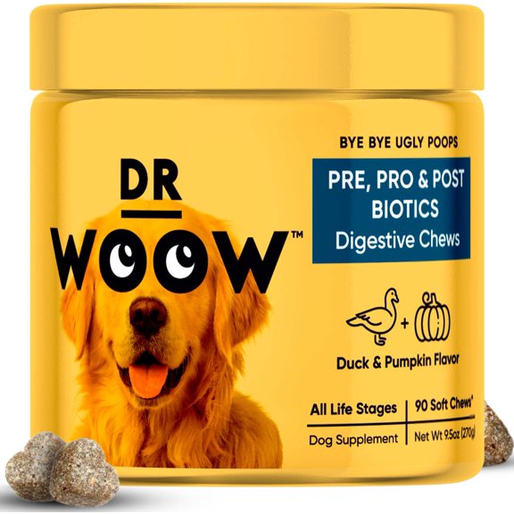 DR WOOW PROBIOTIC DIGESTIVE SUPPLEMENT CHEWS 90 CT
