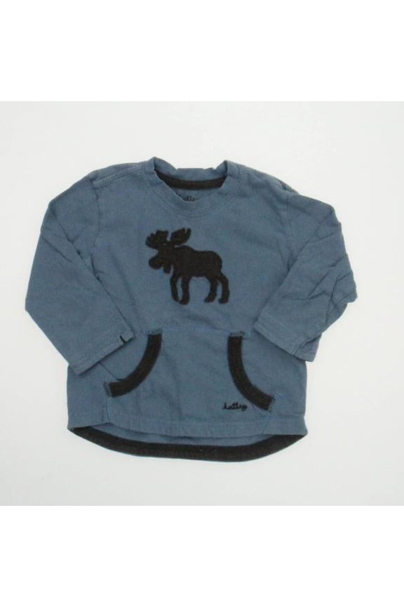 Pre-owned: Hatley Boys Blue Long Sleeve T-Shirt size: 12-18 Months (Good)