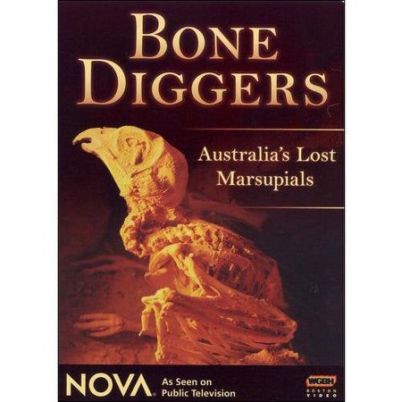 Pre-owned - NOVA: Bone Diggers