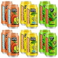 Prebiotic Iced Tea Variety 12 Pack Nostalgic Flavor Low Sugar prebiotic-iced-tea-variety-12-pack-nostalgic-flavor-low-sugar