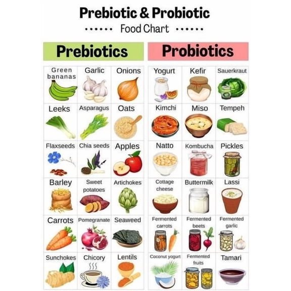 Prebiotic and Probiotic Food Chart poster Gut Microbiome Food List, Fermented Foods Chart, Probiotic Food List Prebiotic Grocery List poster