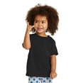 thumbnail image 1 of Precious Cargo Unisex-Baby 54 oz 100% Cotton T Shirt 2T Jet Black, 1 of 2