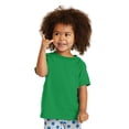 thumbnail image 1 of Precious Cargo Unisex-Baby 54 oz 100% Cotton T Shirt 3T Clover Green, 1 of 4