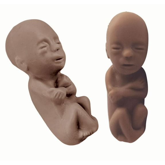 Precious One, 12 Week Ethnic, English Card Pro-Life Fetal Model (Pack of 50)