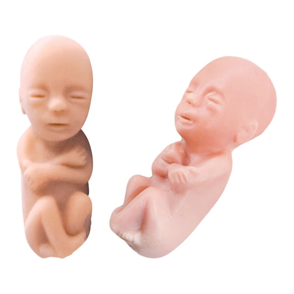 Precious One, 12 Week White Spanish Card Pro-Life Fetal Model (Pack of 50)