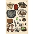 thumbnail image 1 of Precious Stones Including Agate  Onyx  Opal And Sardonyx Poster Print By ?? Florilegius Mary Evans, 1 of 2