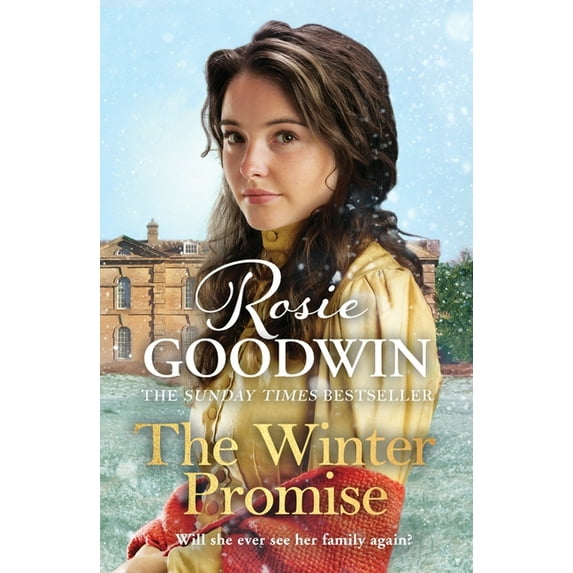 Precious Stones: The Winter Promise (Paperback)