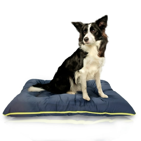 Precious Tails Co-Pilot Waterproof Dog Bed, Navy, Medium, 35"L x 23"W x 5.25"H