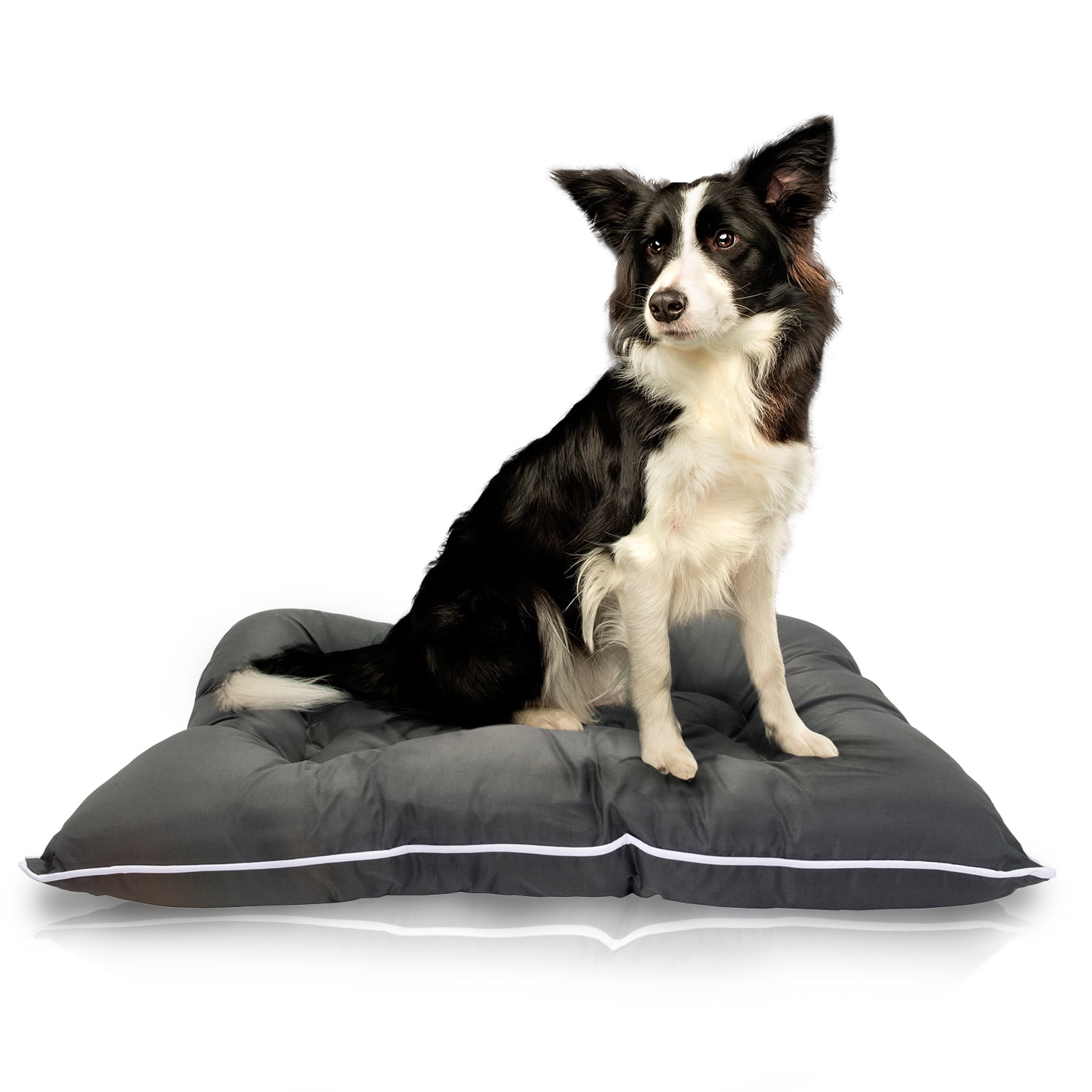 Precious Tails Extra Large Waterproof Chew Resistant Dog Bed with Reversible Cover, Solid