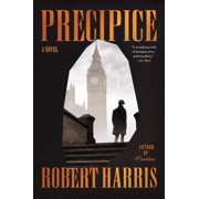 Precipice A Novel Paperback
