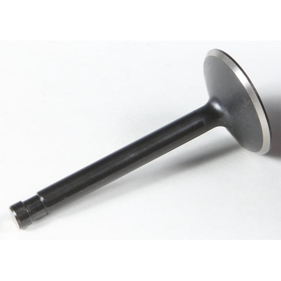 Precision Black Diamond Intake Nitrided Valve