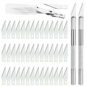 Precision Cutting Tool Set, Craft Knife Set Includes Assortment of Light Duty to Heavy Duty Handles 2 scalpel, with 42 blades
