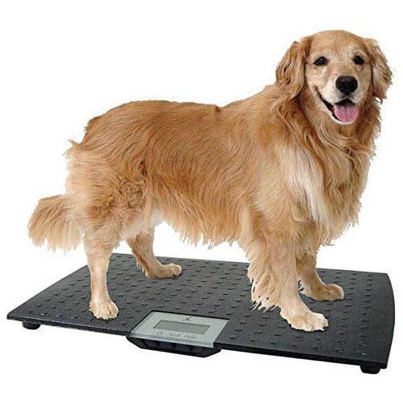 Precision Digital Pet Scales Professional Dog Groomer Vet Shelter - Choose Size(Large - Up To 225 lbs)