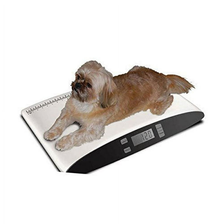 660LBS Digital Pet Dog Cat Puppy Floor Bench Scale 300KG Vet Weigh NEW