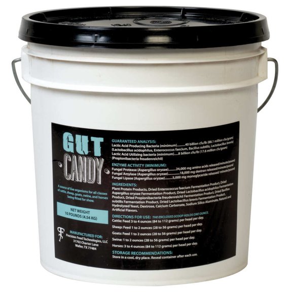 Precision Feed Technologies Gut Candy 10lb