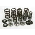 thumbnail image 1 of Precision Lightweight Racing Valve Spring Kit, 1 of 1
