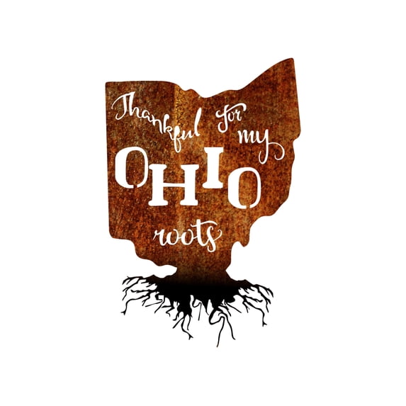 Precision Metal Art OHIOROOTS-24PAT-BLK 24 in. State Ohio Roots Steel Laser Cut Wall Art in Patina With Black Roots