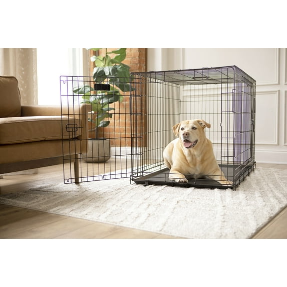 Precision Pet Products 1-Door Wire Dog Crate With Removable Pan & 5-Point Locking System, 36" For Pets 50-70 lb, Black
