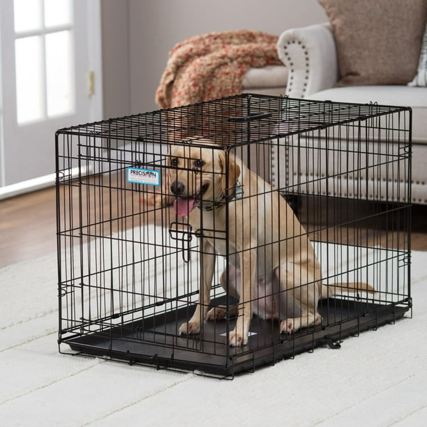 Pet valu dog crates hotsell