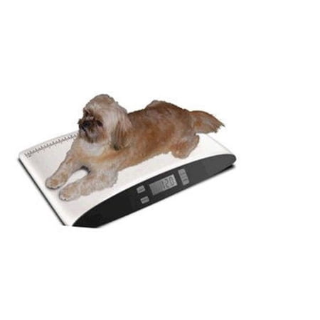 Precision Small Pet Digital Scale - White