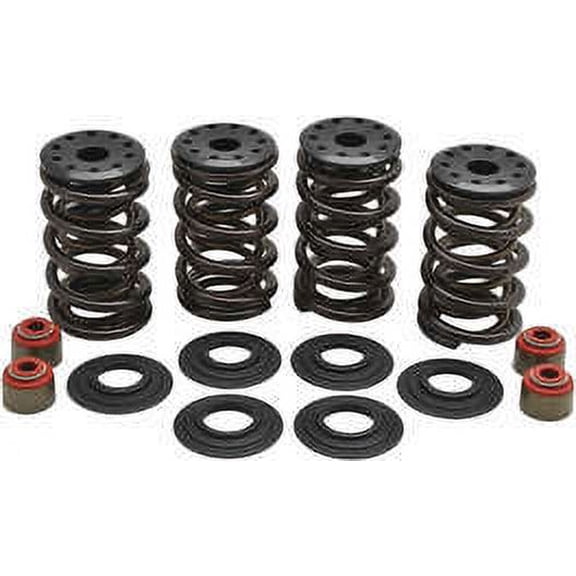 Precision Steel Valve Spring Kit for Harley Davidson