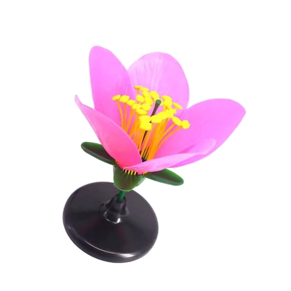 Precisions Designed Dissembleable Artificial Flower Model For Secondary Education Demonstrations And Science Fair Projects
