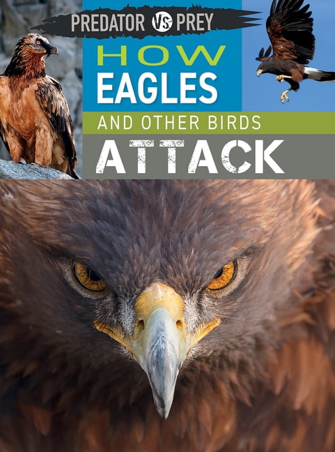 Predator vs. Prey How Eagles and Other Birds Attack, (Paperback ...