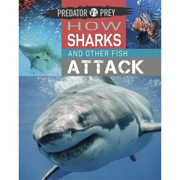 Predator vs Prey: Predator vs Prey: How Sharks and other Fish Attack! (Paperback)