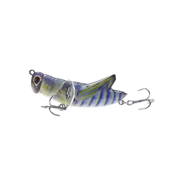 Predators Specific Fishing Lures With 3D Eye And Realistic Artificial Crickets Baits with Hook for Big Strikes