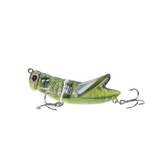 Predators Specific Fishing Lures With 3D Eye And Realistic Artificial Crickets Baits with Hook for Big Strikes
