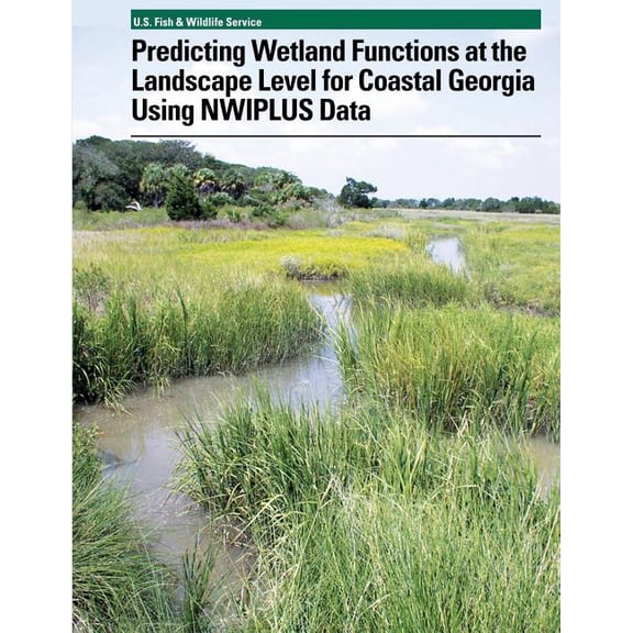 Predicting Wetland Functions at the Landscape Level for Coastal Georgia Using NWIPlus Data (Paperback)