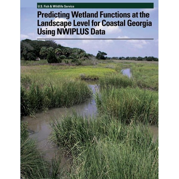 Predicting Wetland Functions at the Landscape Level for Coastal Georgia Using NWIPlus Data (Paperback)