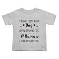 thumbnail image 1 of Pregnancy Announcement:Promoted From Dog Grandparents To Human Grandparentss Cute Toddler Tshirts for Boys Girls (Gray, 2T), 1 of 5
