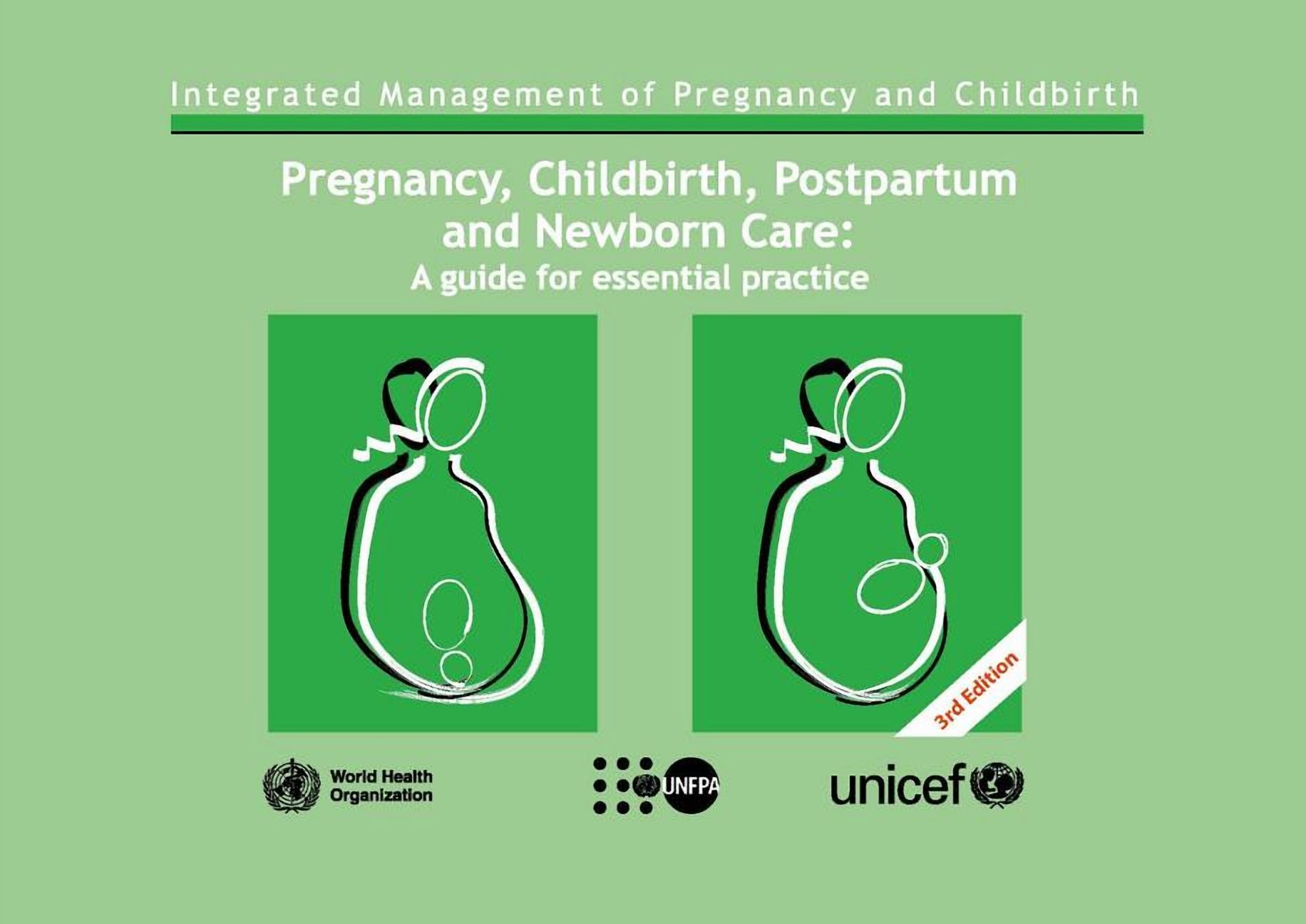 Pregnancy, Childbirth, Postpartum and Newborn Care: A Guide for Essential Practice (Paperback)