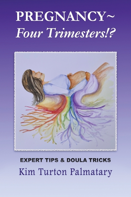 Pregnancy Four Trimesters!?, (Paperback)