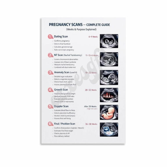 Pregnancy Scans Complete Guide Poster OB GYN Educational Wall Art Clinic Canvas for Living Room Bedroom Decor